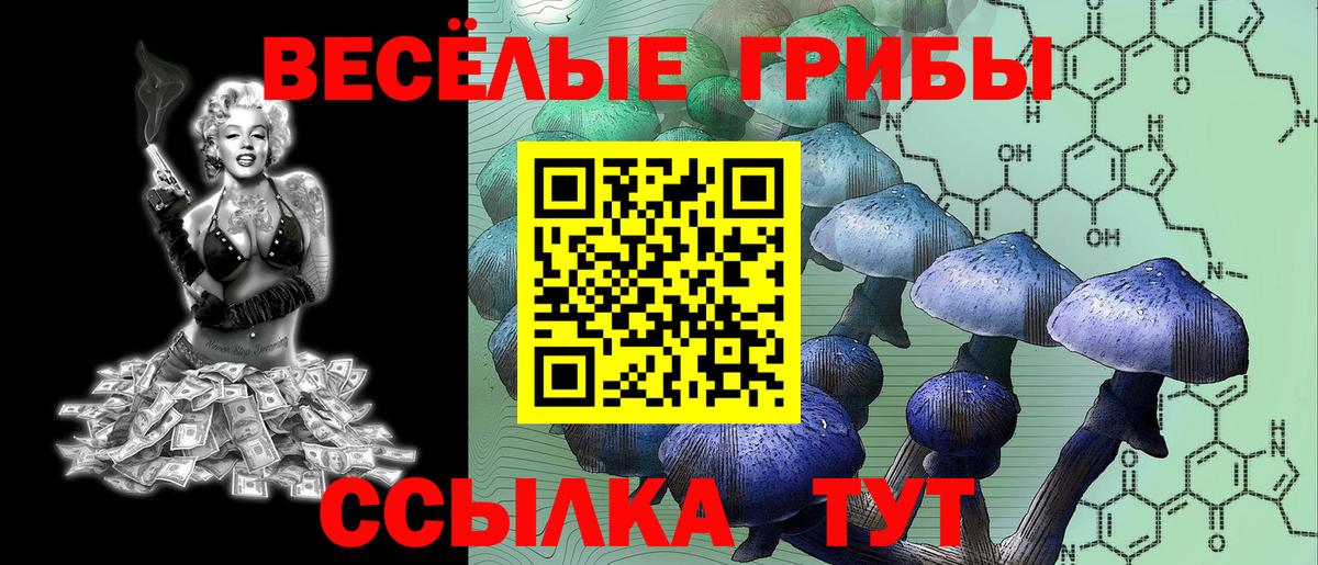 Псилоцибиновые грибы мицелий Урус-Мартан